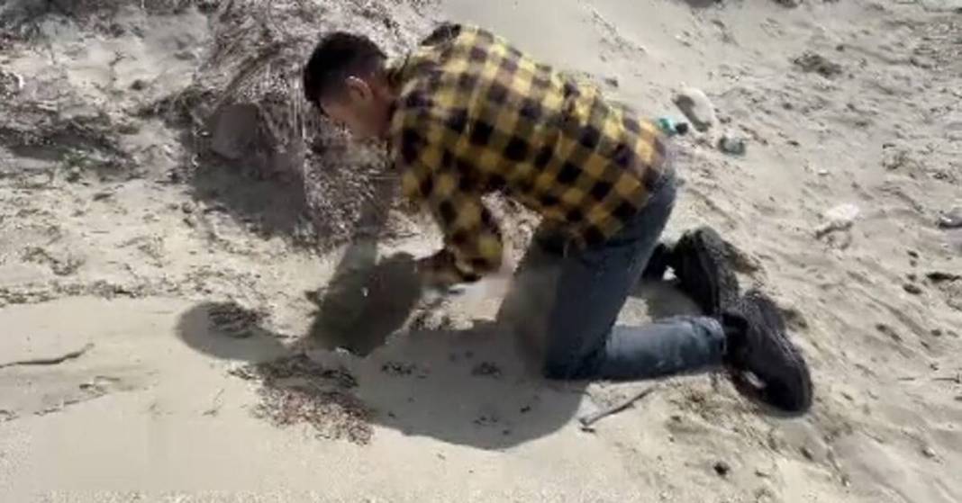 İhbar üzerine deniz kıyısına gittiler: Karşılaştıkları manzara şoke etti! Uzmanlar, o ilçede 9 gün boyunca araştırma yaptı 9